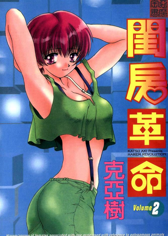 ハーレム革命2