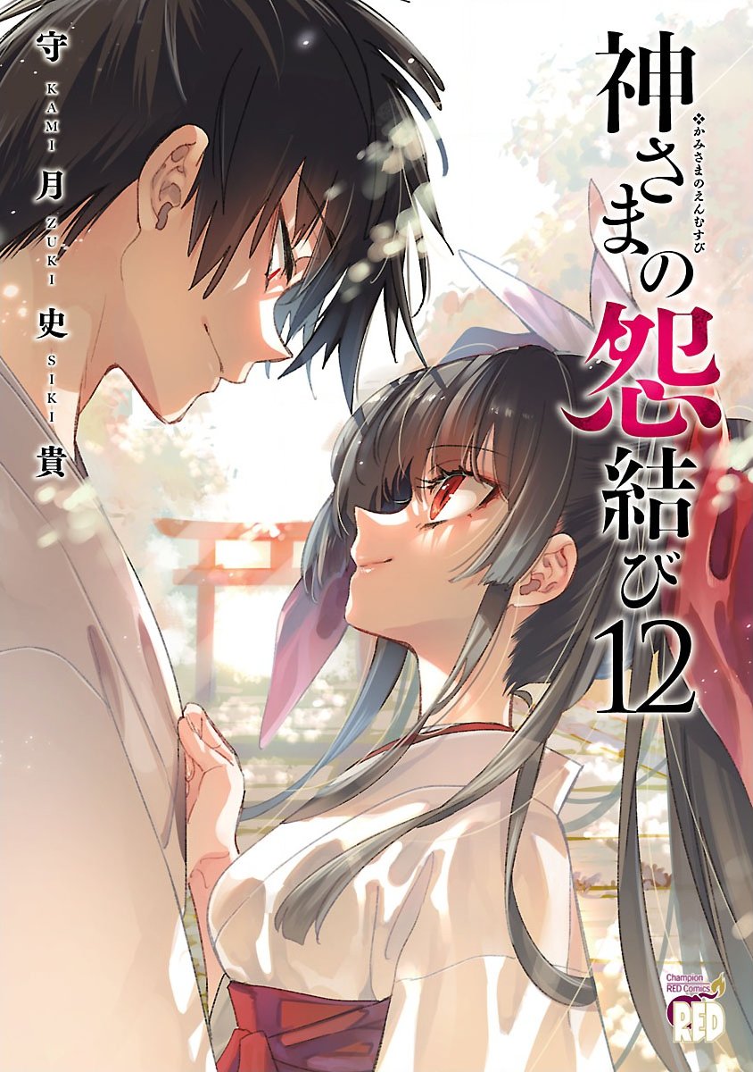 神さまの怨結び 第12巻